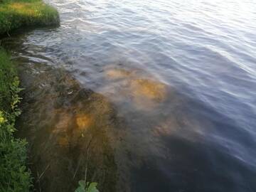 Фото номера Дом с 2 спальнями Дома для отпуска NeriPaulis г. Ažvinčiai 21