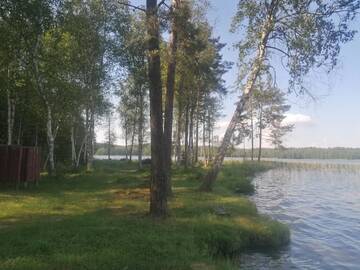 Фото номера Дом с 2 спальнями Дома для отпуска NeriPaulis г. Ažvinčiai 23