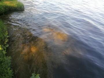 Фото номера Дом с 2 спальнями Дома для отпуска NeriPaulis г. Ažvinčiai 40